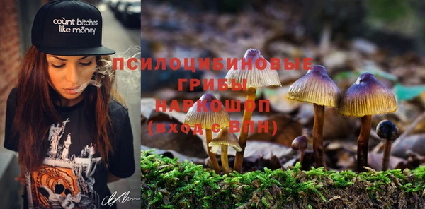 mdpv Баксан